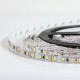 Светодиодная лента SMD2835 120 LEDs/м 9W/м IP20 12V 6000K холодный белый негерметичная