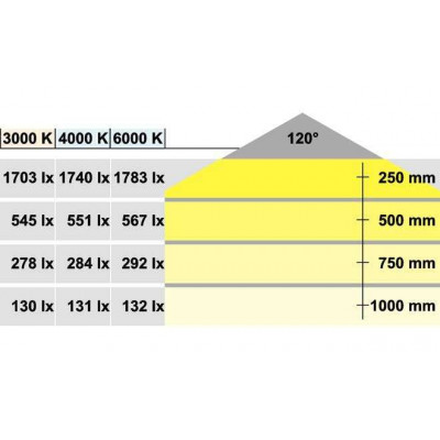 Светодиодная лента Loox LED 3013 L=5000 мм 6000 К