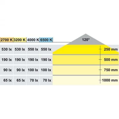 Светодиодная лента Loox LED 2015 L=5000 мм 4000 К